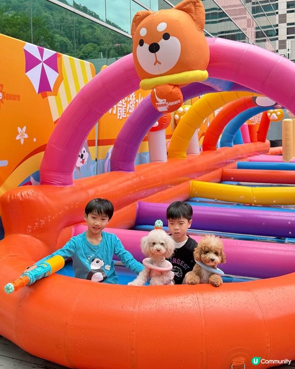 🐶💦萌寵潑水節！玩到濕晒都唔怕！😎