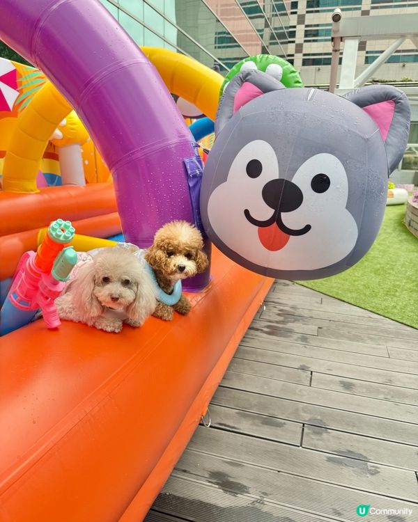 🐶💦萌寵潑水節！玩到濕晒都唔怕！😎