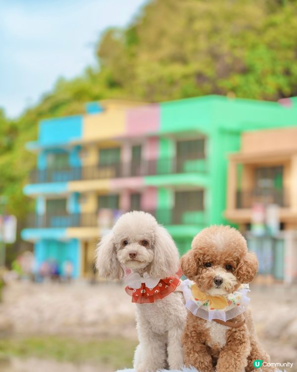 馬灣一日遊🌈打卡📸️