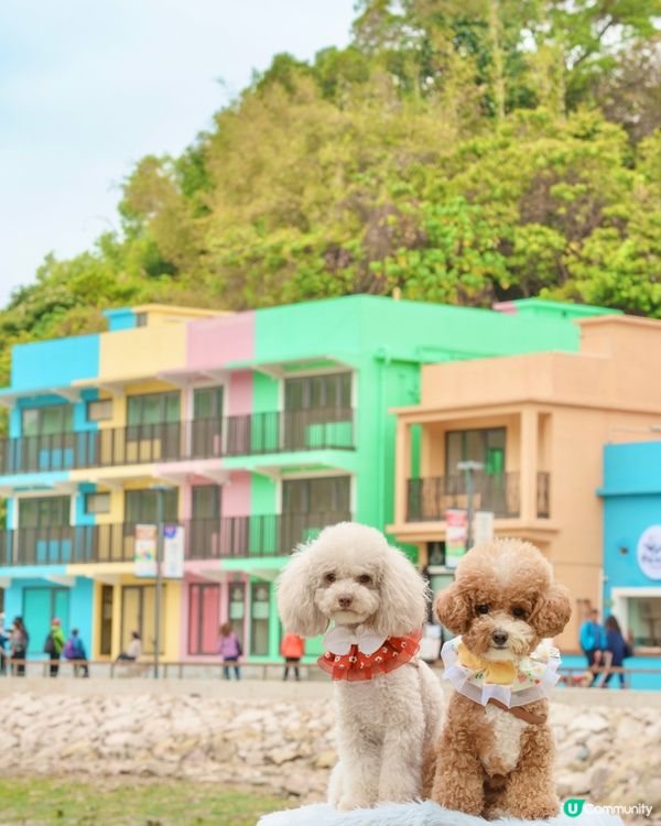 馬灣一日遊🌈打卡📸️