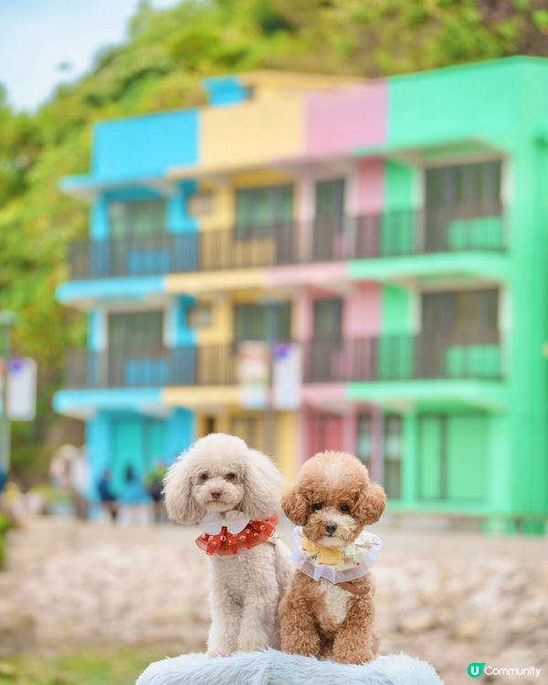 馬灣一日遊🌈打卡📸️