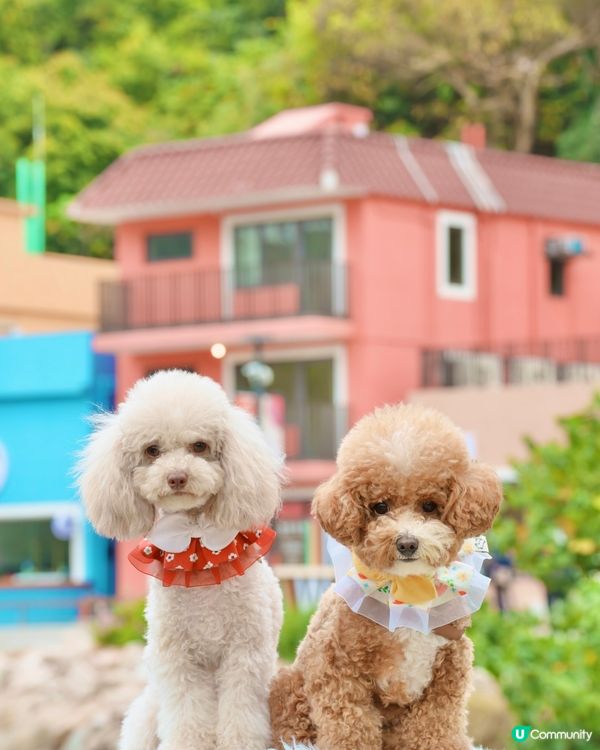 馬灣一日遊🌈打卡📸️