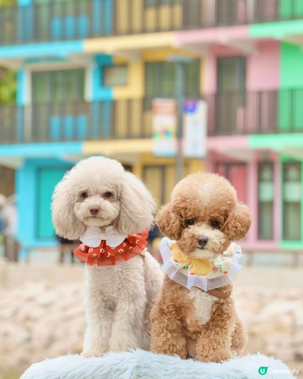 馬灣一日遊🌈打卡📸️