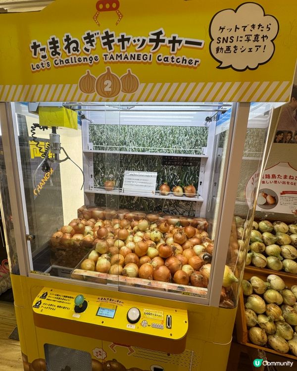 淡路島洋蔥薯片