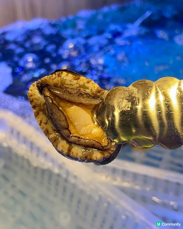 觀塘｜泰式鮑魚海蝦火鍋放題🦐｜👶🏻🍚Reels