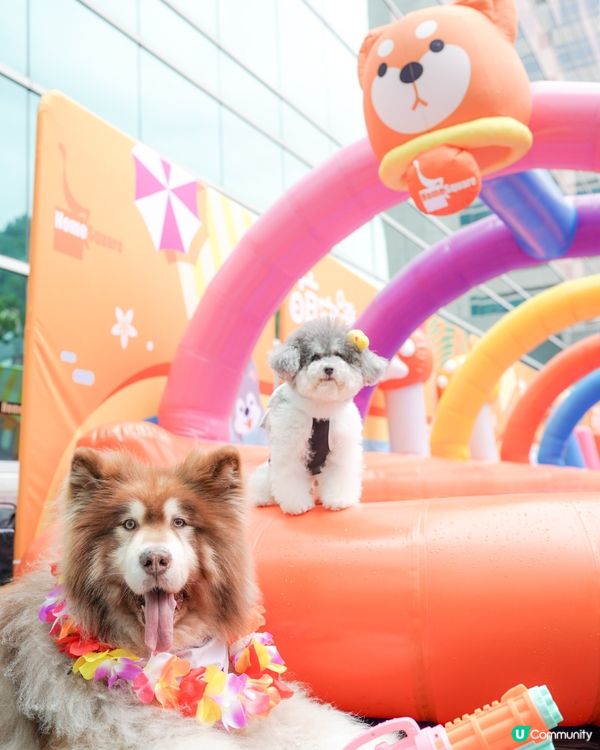 / 最新人寵活動 • 萌寵潑水節🌟 /