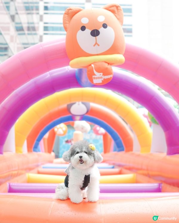 / 最新人寵活動 • 萌寵潑水節🌟 /