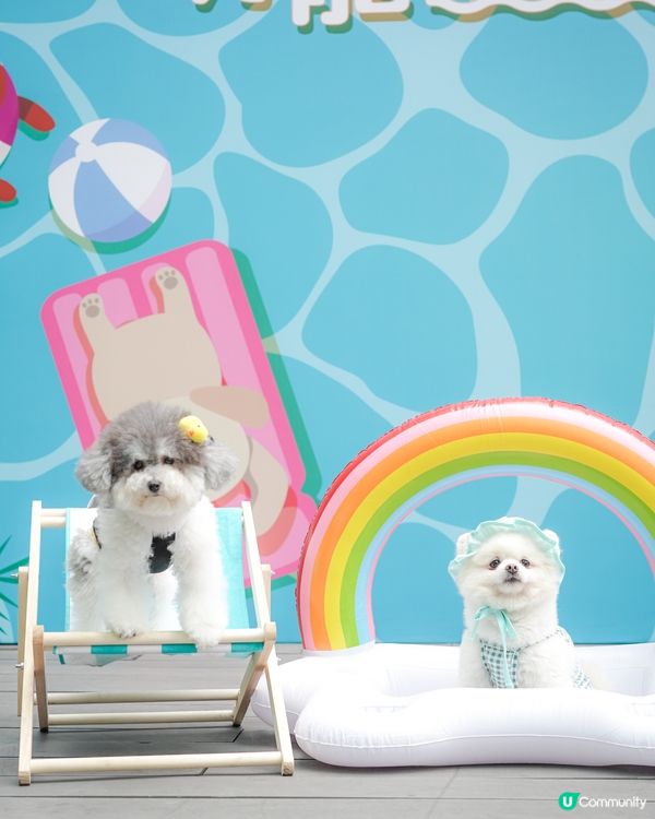 / 最新人寵活動 • 萌寵潑水節🌟 /