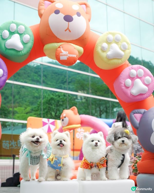 / 最新人寵活動 • 萌寵潑水節🌟 /