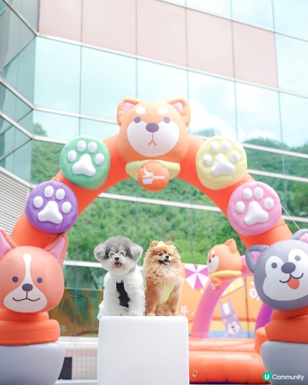 / 最新人寵活動 • 萌寵潑水節🌟 /