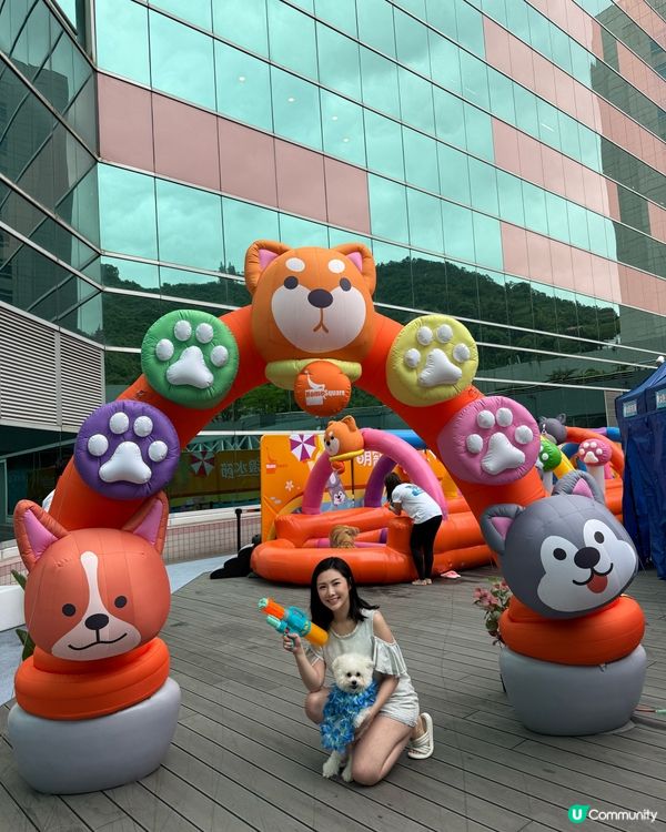 香港都有潑水節啦，仲要可以帶埋寵物同小朋友一齊去玩