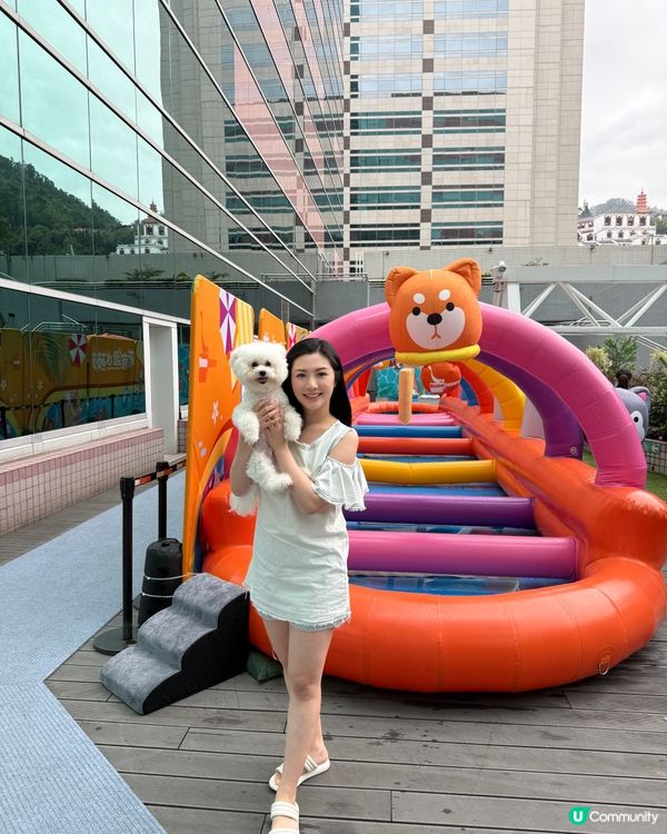 香港都有潑水節啦，仲要可以帶埋寵物同小朋友一齊去玩