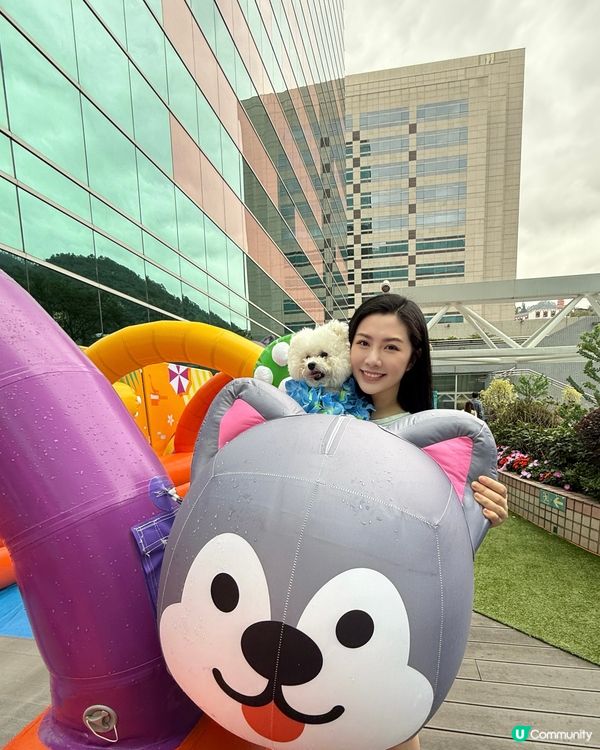 香港都有潑水節啦，仲要可以帶埋寵物同小朋友一齊去玩