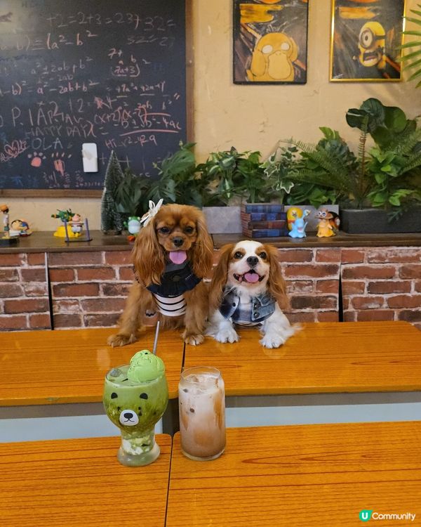 那些年的小時光