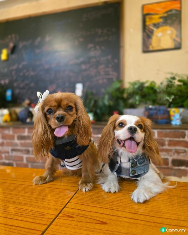 那些年的小時光