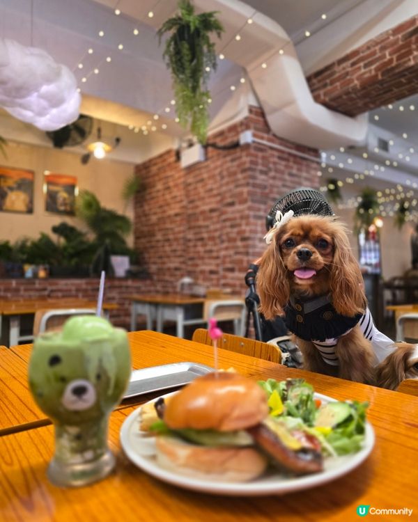 那些年的小時光