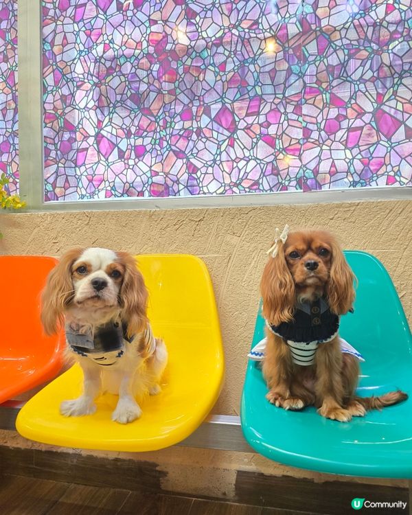 那些年的小時光