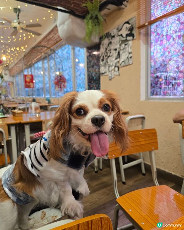 那些年的小時光