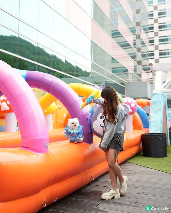 寵物友善夏日好去處