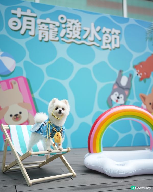 寵物友善夏日好去處