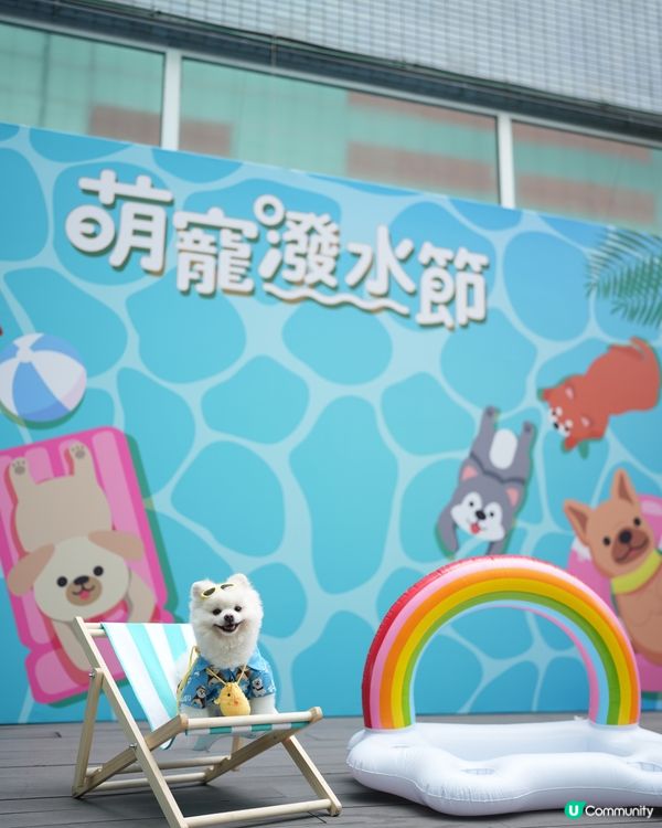 寵物友善夏日好去處