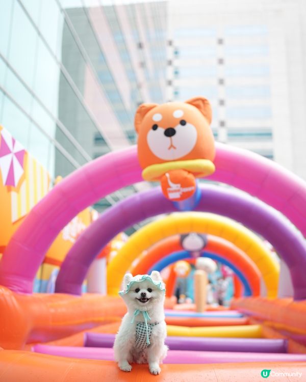 寵物友善夏日好去處