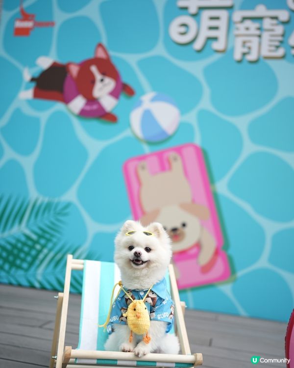 寵物友善夏日好去處