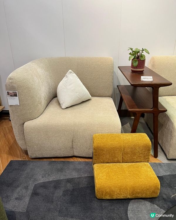 寵物友善夏日好去處