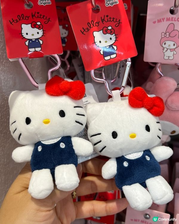 東京購物🛍️Sanrio 超好買，大出血