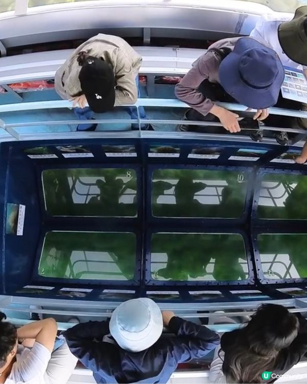 復活節欣賞珊瑚