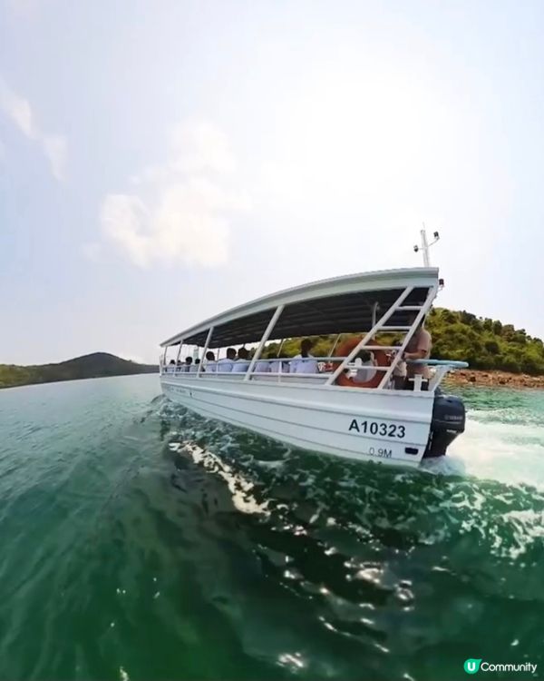 復活節欣賞珊瑚