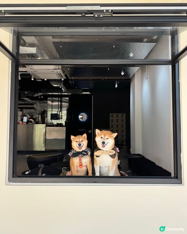 黑白型格小店 🐾 寵物友善