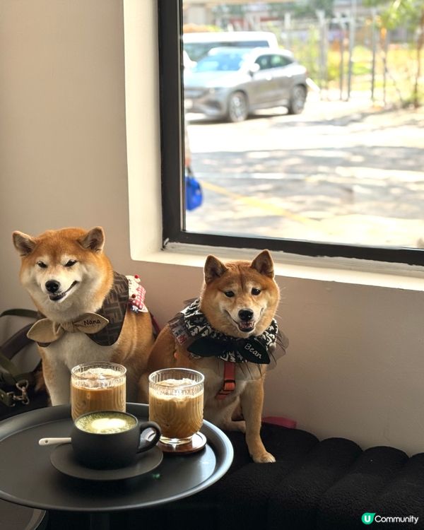 黑白型格小店 🐾 寵物友善