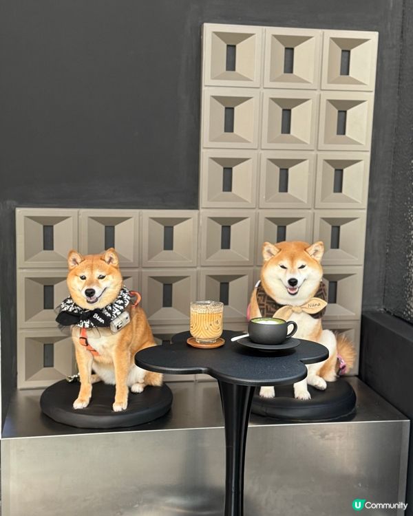 黑白型格小店 🐾 寵物友善