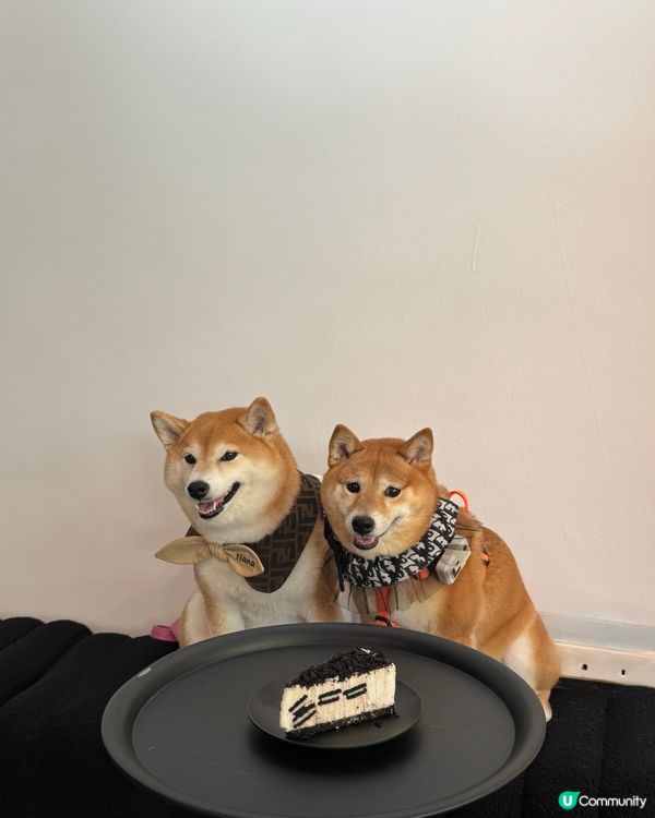 黑白型格小店 🐾 寵物友善