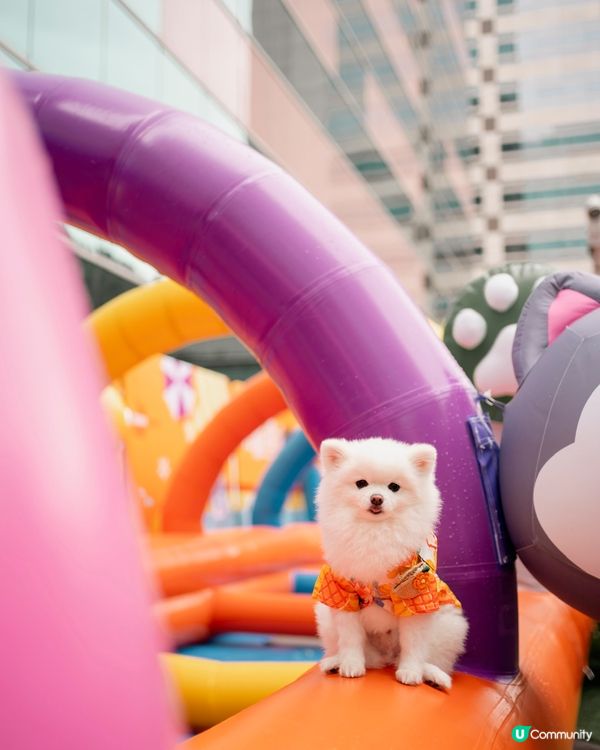 ☀️熱辣辣好去處☀️ - HomeSquare 萌寵潑水節