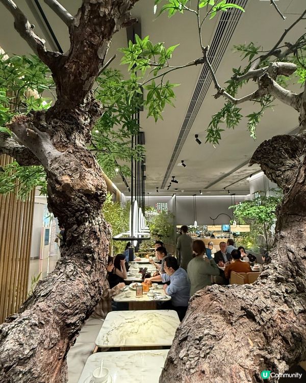 奧海城新派浙菜😋 綠茶餐廳驚喜之旅！