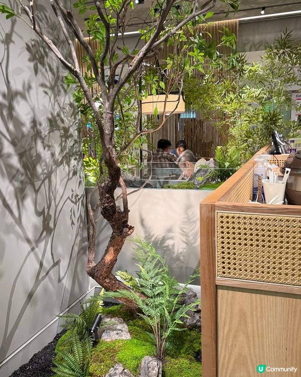 奧海城新派浙菜😋 綠茶餐廳驚喜之旅！