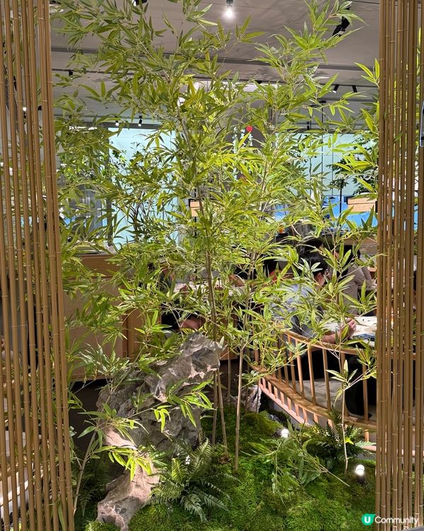 奧海城新派浙菜😋 綠茶餐廳驚喜之旅！