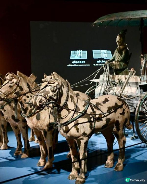 香港歷史博物館展出秦始皇兵馬俑等逾130套秦漢時期珍貴文物