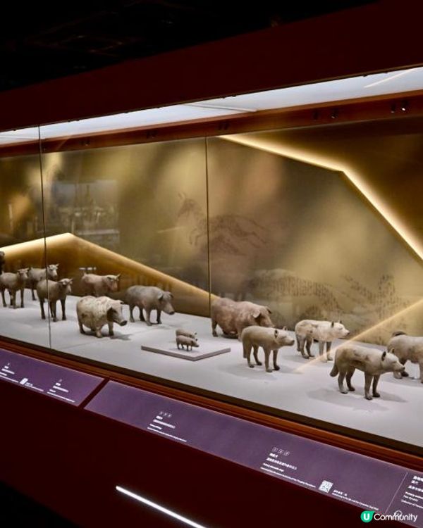 香港歷史博物館展出秦始皇兵馬俑等逾130套秦漢時期珍貴文物
