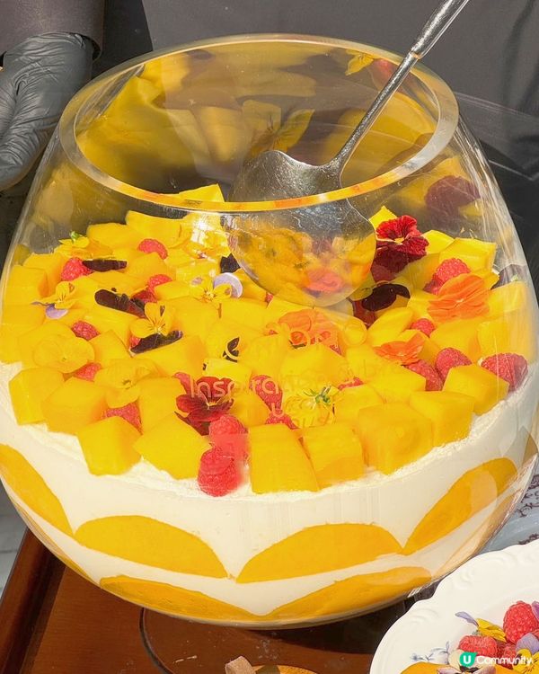 深圳必打卡南法復古風餐廳