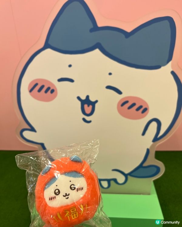 好開心🥳買到達摩set🥰 