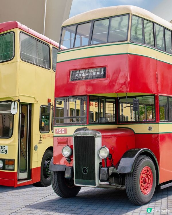 🚌 全城巴士迷集合！馬灣小島復活節狂歡