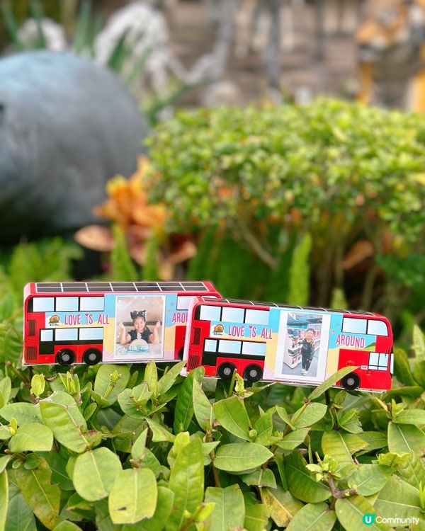 🚌 全城巴士迷集合！馬灣小島復活節狂歡