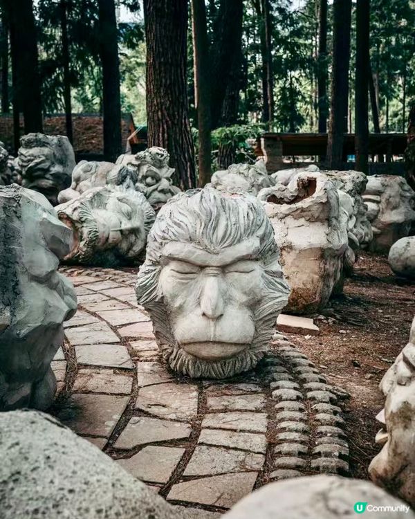 「黔」行狙擊尋秘境！ ⛰️✨