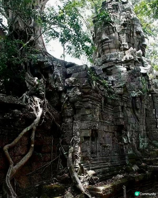 「黔」行狙擊尋秘境！ ⛰️✨