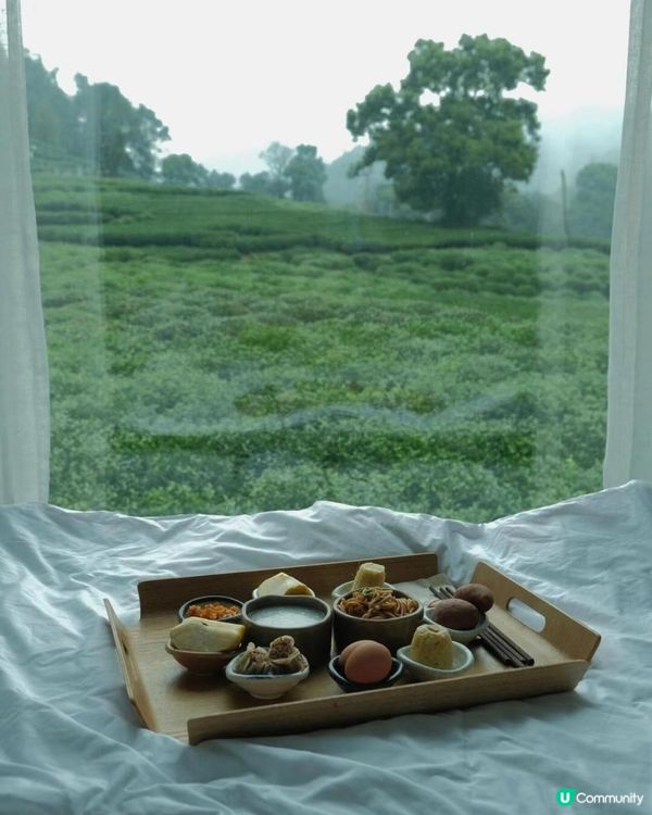 清遠茶山，仙境生活 🌿✨