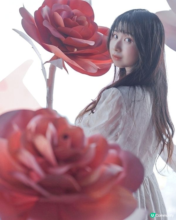 🇯🇵Shibuya Sky限定展打卡攻略‼️春季展