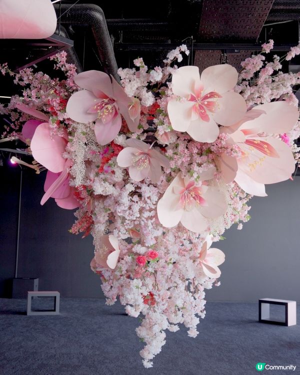 🇯🇵Shibuya Sky限定展打卡攻略‼️春季展